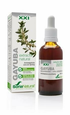 Gayuba Extracto S.XXI Envase de vidrio con dosificador. 50 mL Soria Natural®