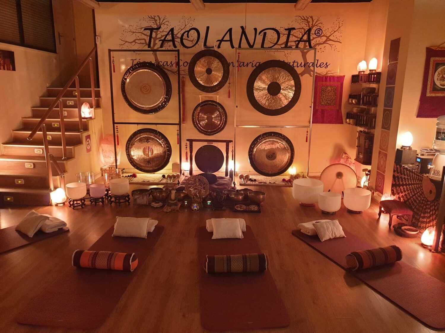 Meditación Guiada y Terapia de Sonido con Gong 1 Sesión de 120 minutos SEGUNDA ENTRADA Meditación Guiada y Terapia de Sonido con Gong 1 Sesión de 120 minutos SEGUNDA ENTRADA