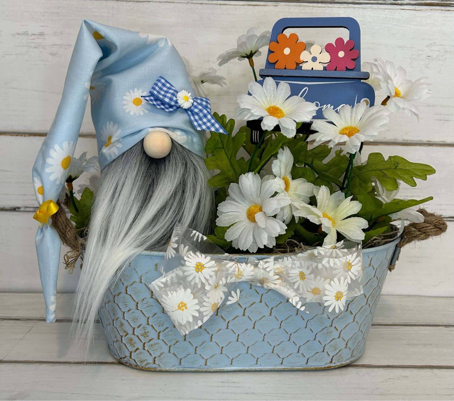 Daisy Flower Garden