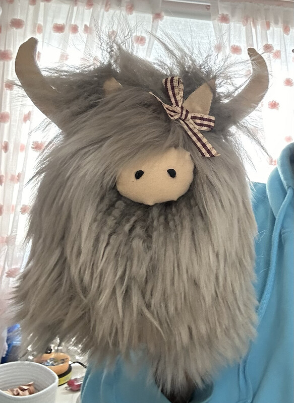 Large Highland Cow
