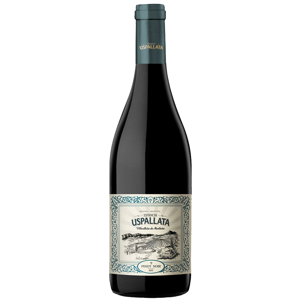 Vino Estancia uspallata pinot noir  x750cc