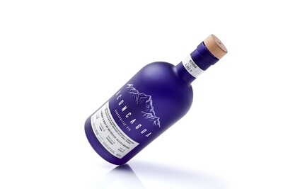 Gin Aconcagua x750cc