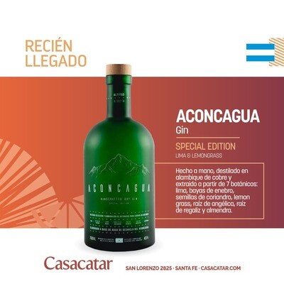Gin Aconcagua Botella Verde x750
