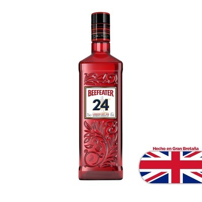 Gin beefeater 24 x750cc
