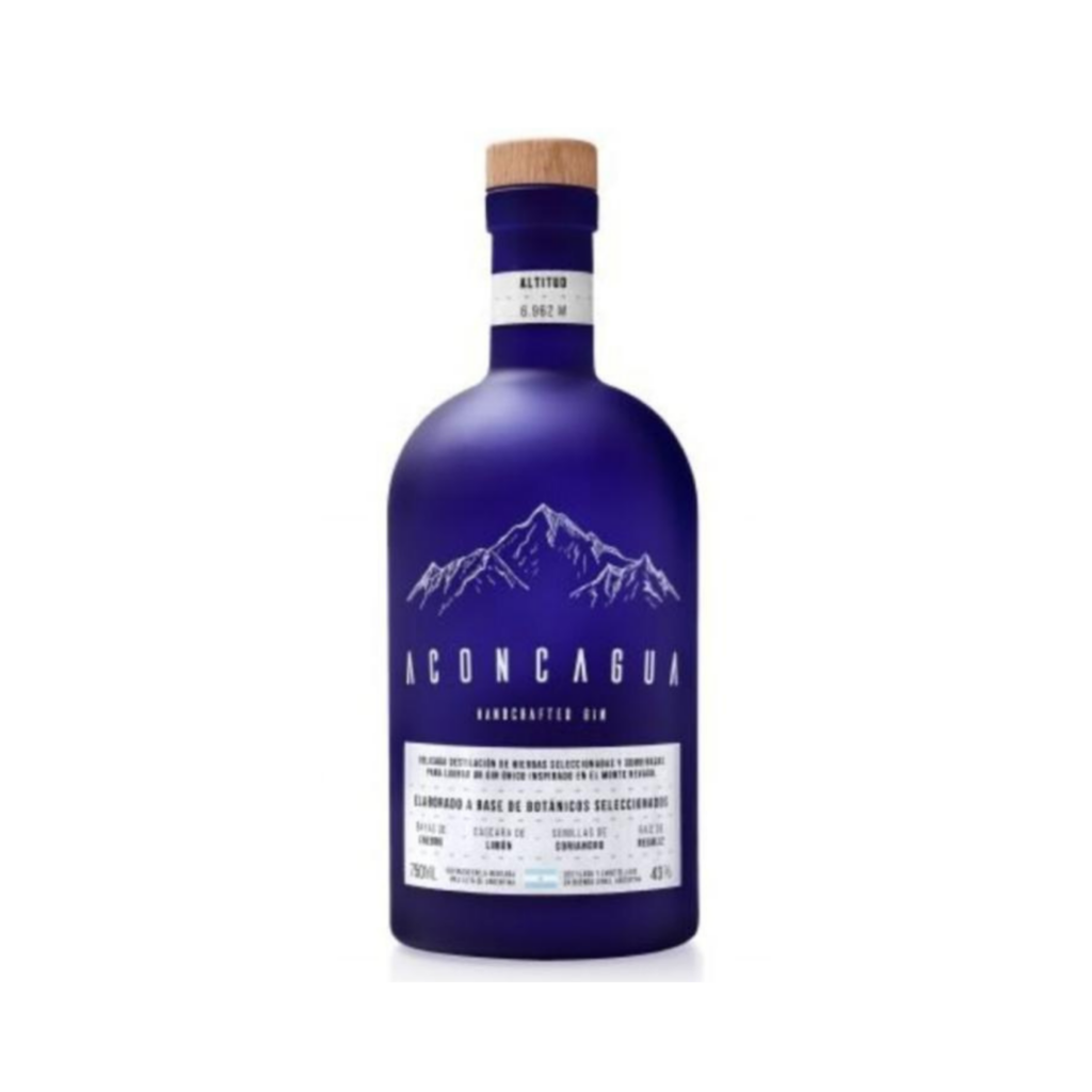 Gin Aconcagua x750cc