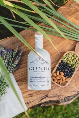 Gin Aconcagua Botella Blanca x750cc