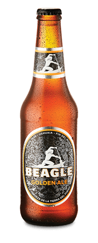 Cerveza Beagle Golden Ale x330cc