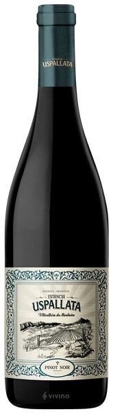 Vino Estancia Uspallata Pinot Noir x750cc