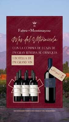 6 Fabre Montmayou Gran Reserva Malbec + Un Fabre Montmayou Grand Vin