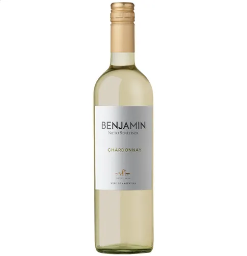 Vino Benjamin nieto chardonnay 2023 x750cc