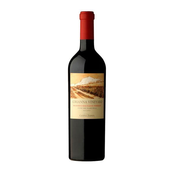 Vino Adrianna Vineyard Mundus Bacillus Terrae Malbec x750 cc