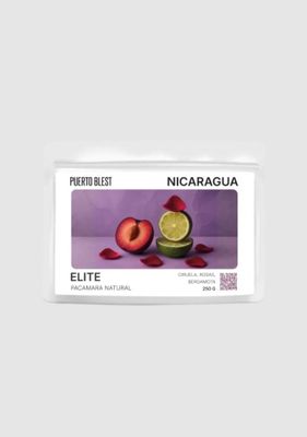 Café Nicaragua L96 x250gr (Filtro)