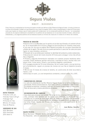 Champagne Segura Viudas Brut x750cc