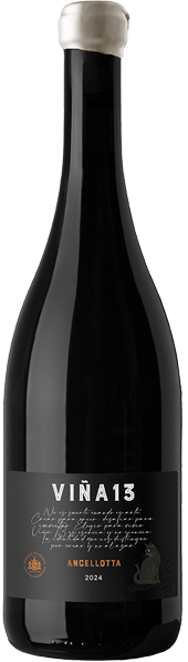 Viña 13 Ancellotta x750cc