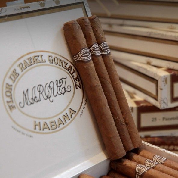 Flor De Rafael Gonzalez Panetelas extra x Unidad