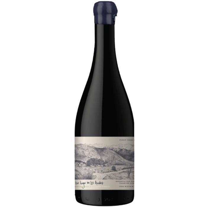 Vino Un Lugar En Los Andes Pinot Noir 2021 X750cc