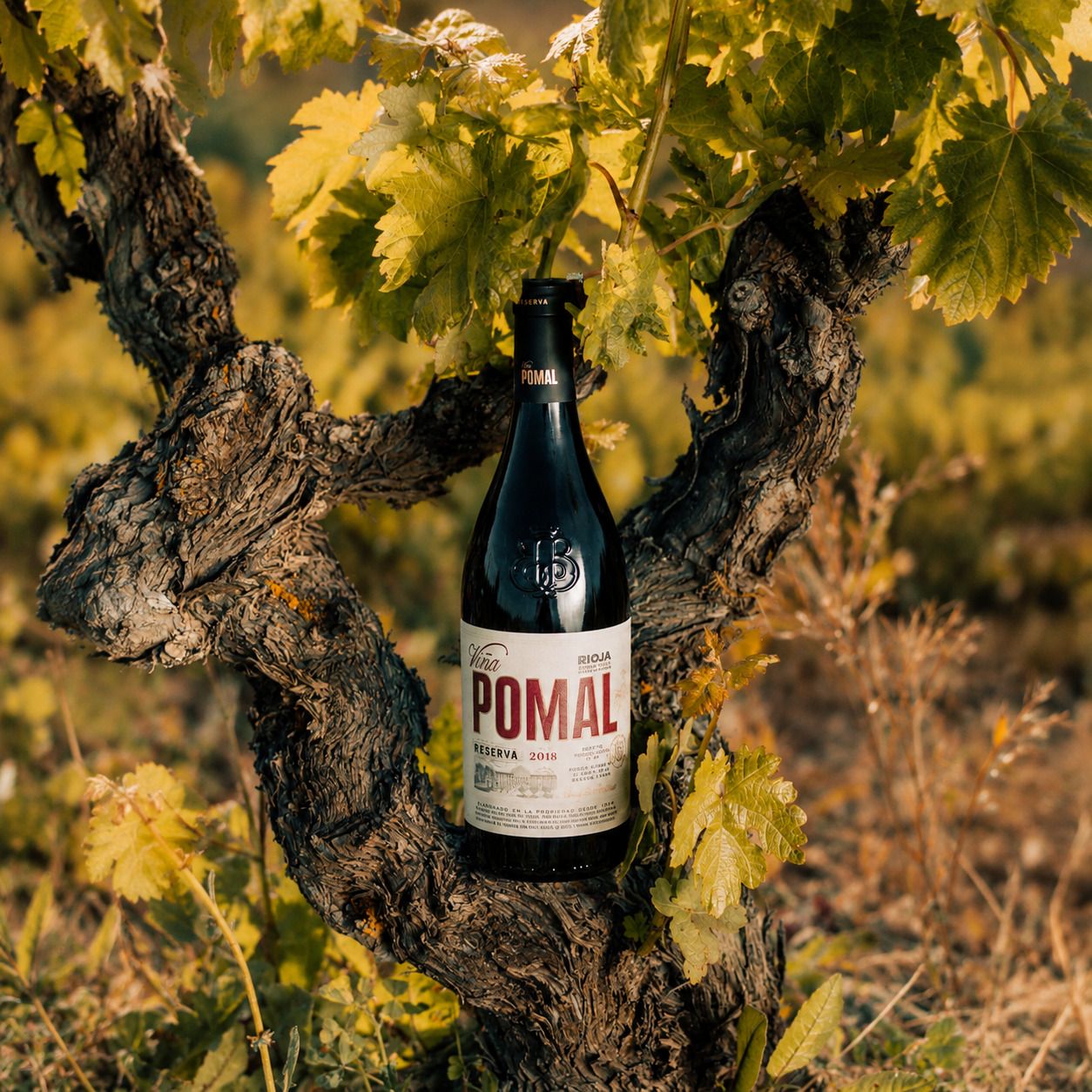 Vino Viña Pomal Reserva Rioja x750 cc