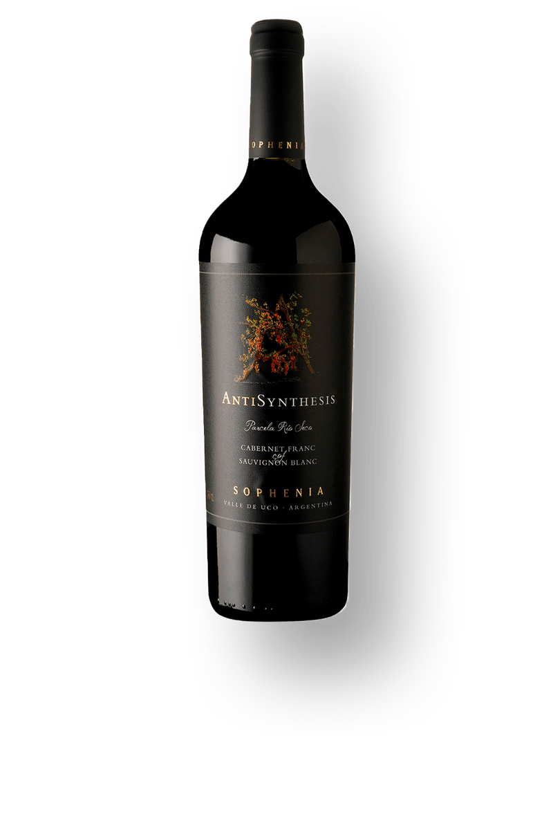 Vino Antisynthesis Parcela Rio Seco x750cc