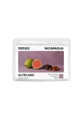 Café Puerto Blest Nicaragua L41 x250g (Filtro)