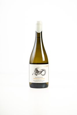 Vino El Bayeh Trópico Sur Sauvignon Blanc x750cc