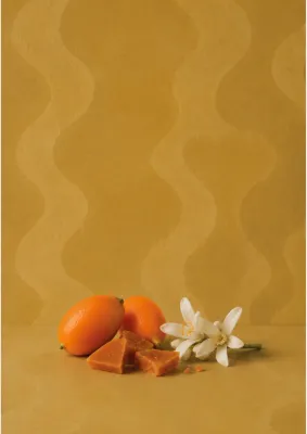 Café Kenia L42 x250gr (Filtro)