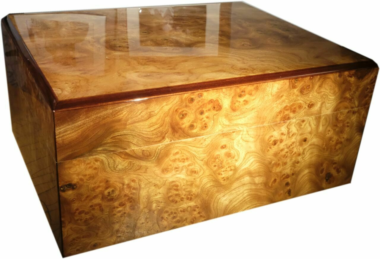 Gentili Humidor Elm wood veneer - for 50 cigars