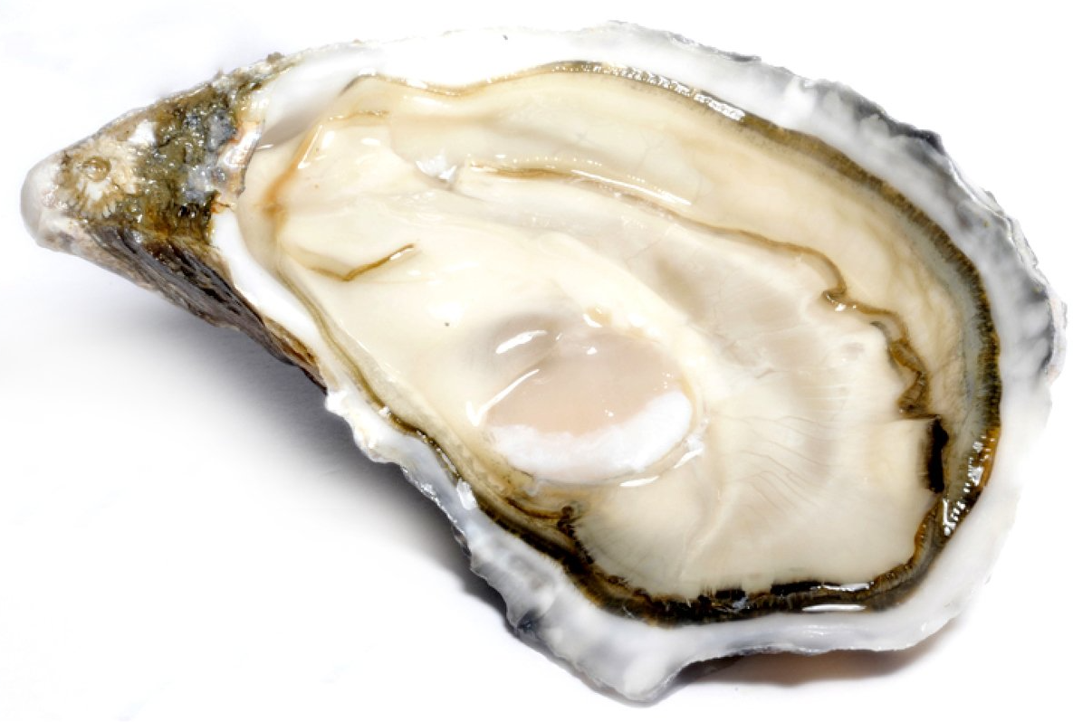 GILLARDEAU RITIRO PRESSO OYSTER POINT