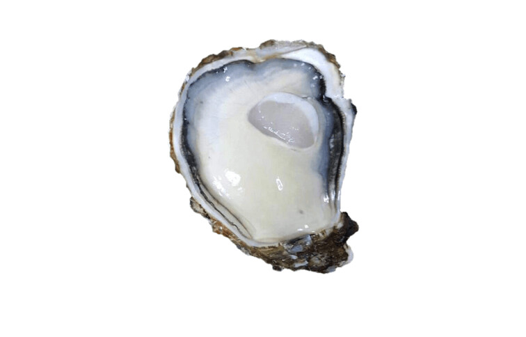 Eske Deluxe