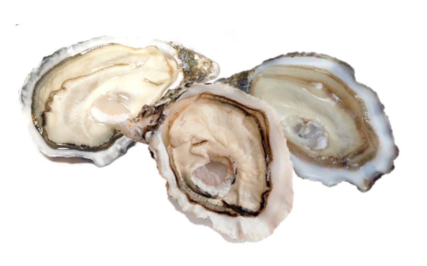 Tris degustazione Francia-Irlanda