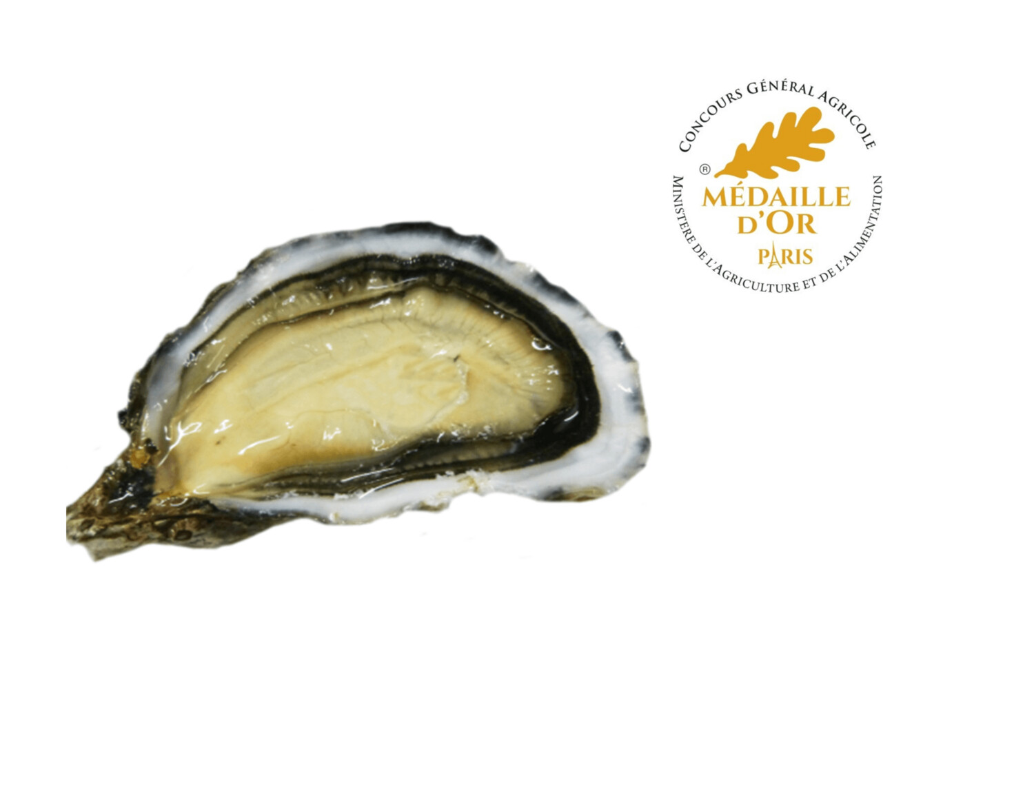 Ostriche online Milano Premium Legall Ostriche Online Delivery - Oyster  House
