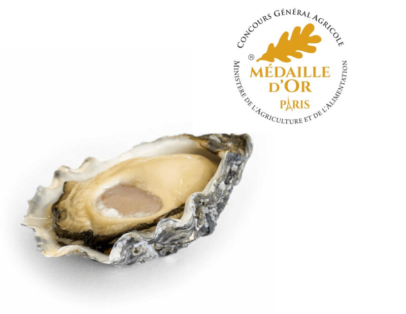 ETOILE OYSTER POINT - Express DISPONIBILI SUBITO
