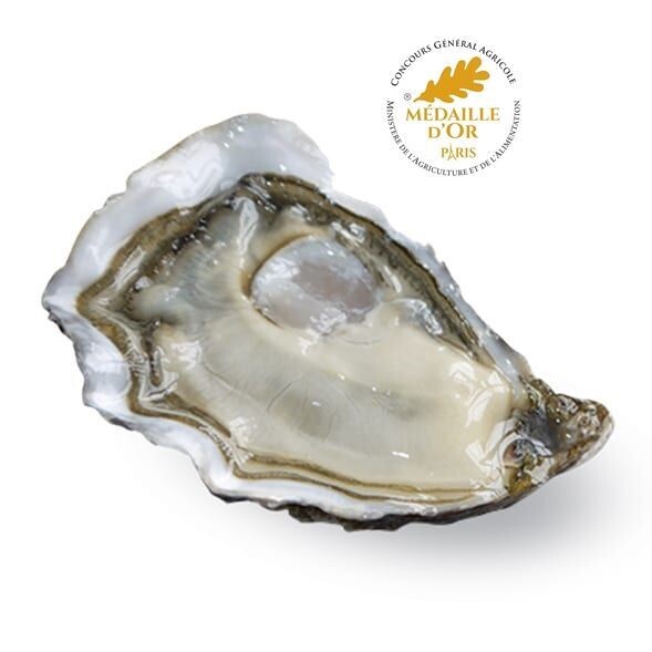 LA BELLE D'UTAH BEACH OYSTER POINT  - Express DISPONIBILI SUBITO