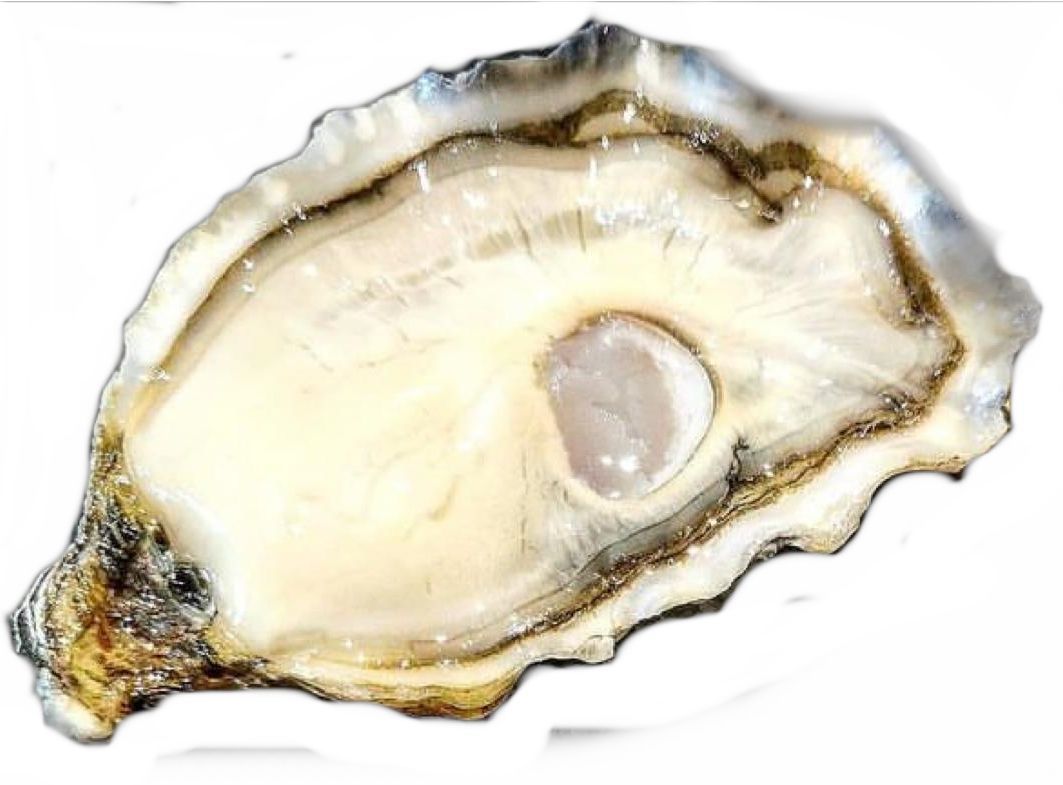 PREMIUM PRIEUR RITIRO PRESSO OYSTER POINT