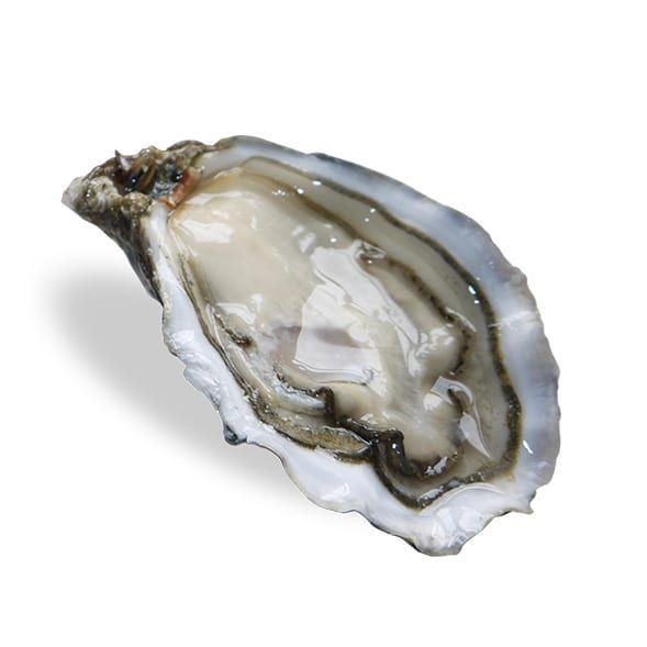 Heritiere, Altre opzioni: Calibro 3 - 12 pezzi (3,00 €/pz)