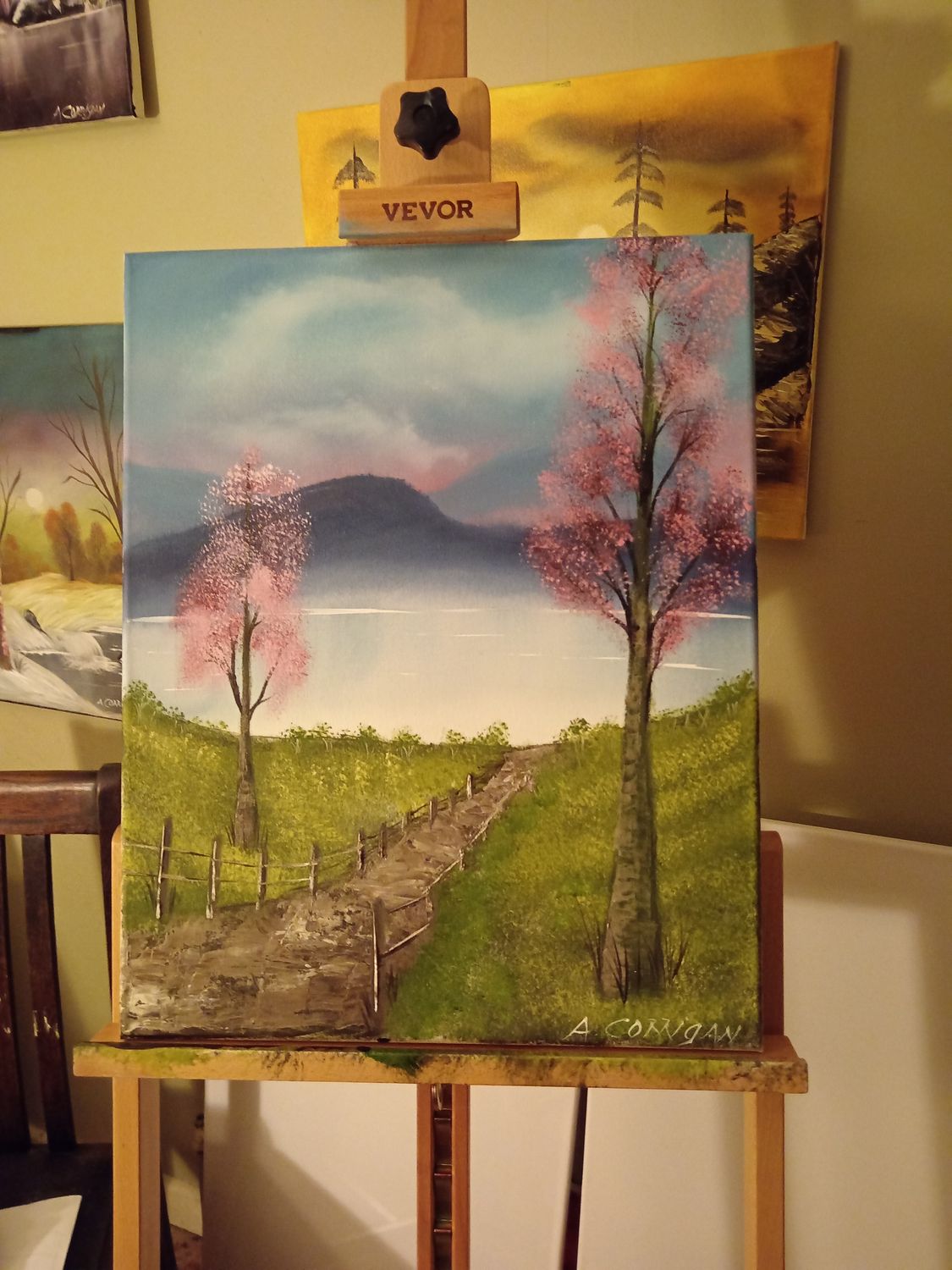 &quot;Cherry blossom lake&quot;