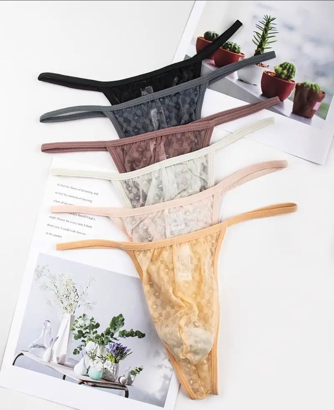 PREORDER - Isporuka za 10-15 dana  