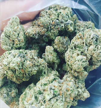 OG KUSH