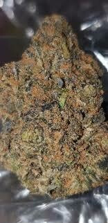 GELATO