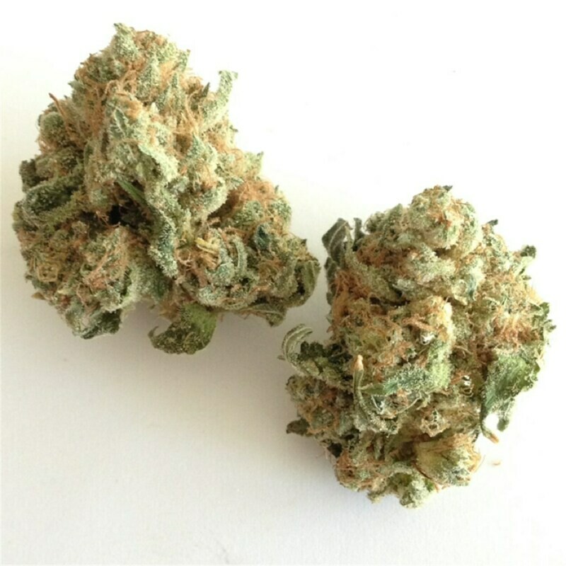 WHITE WIDOW