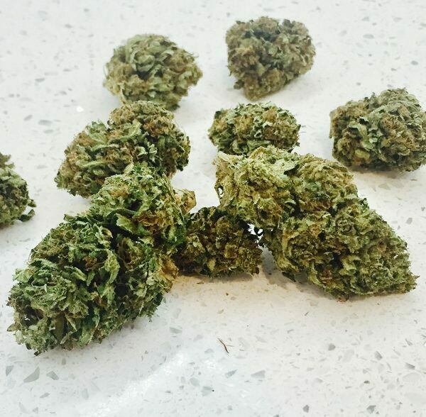 AK 47