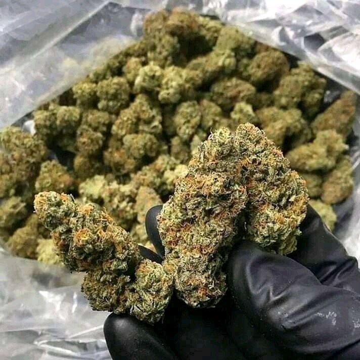 Ak48