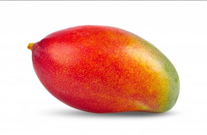 MANGO X KILO
