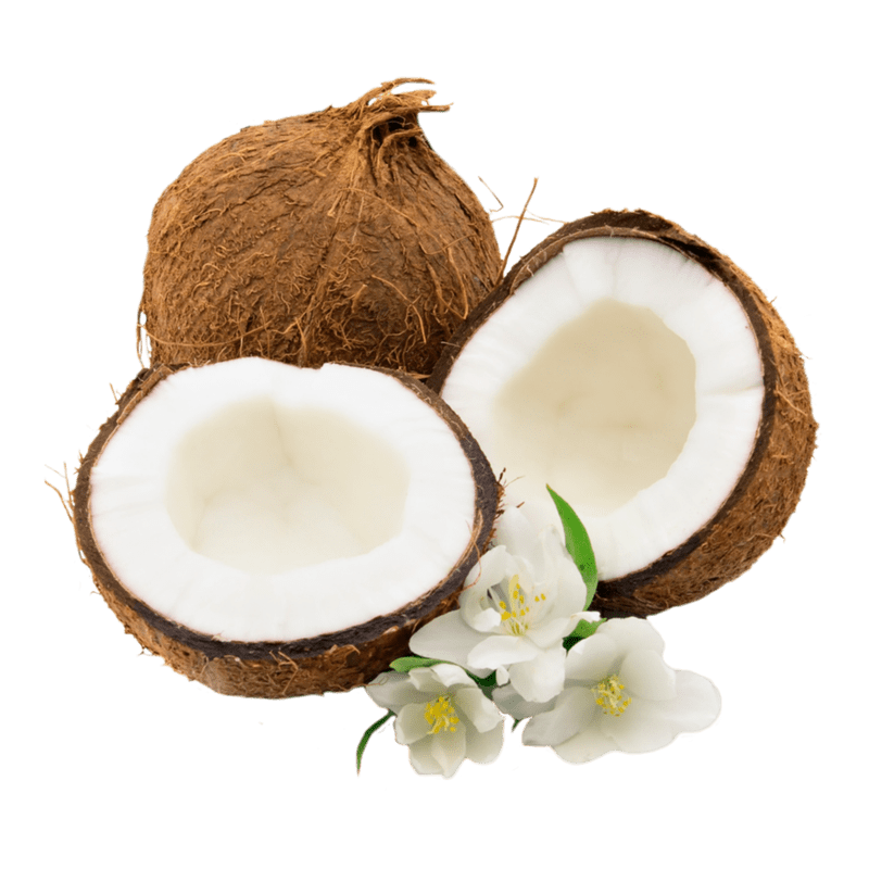 COCOS X UND