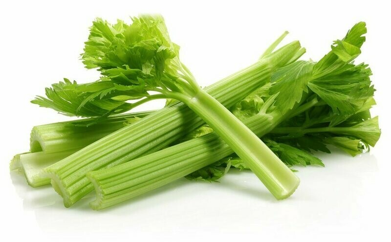 CELERY 500 GR