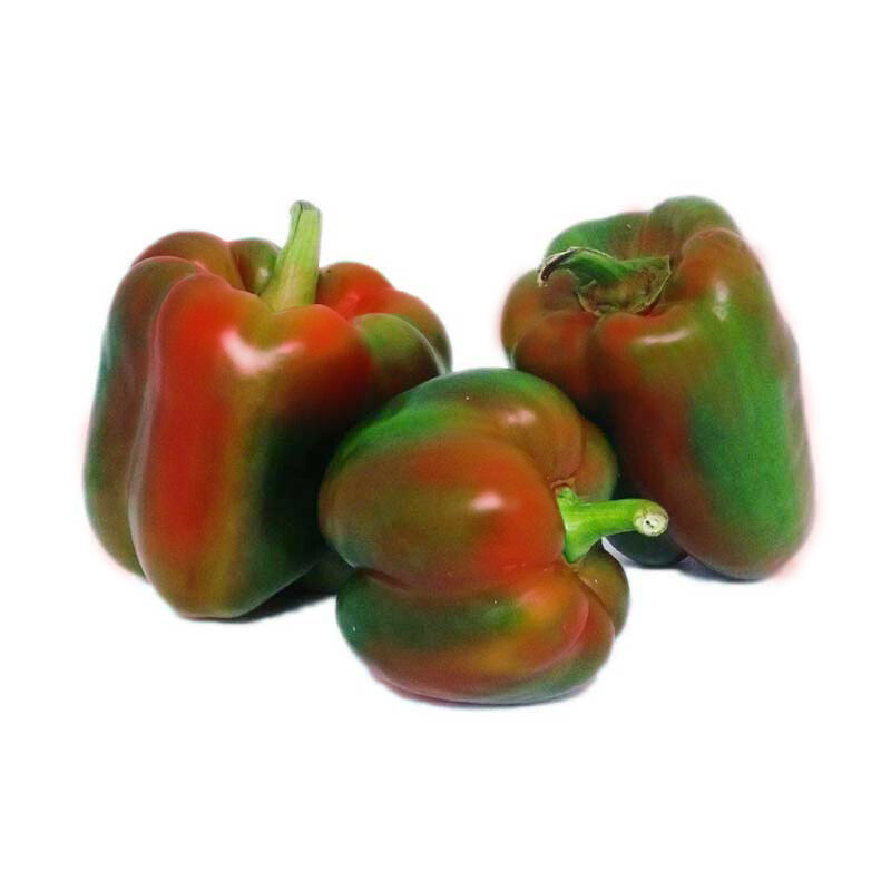 PIMENTON PINTON X 1 KILO