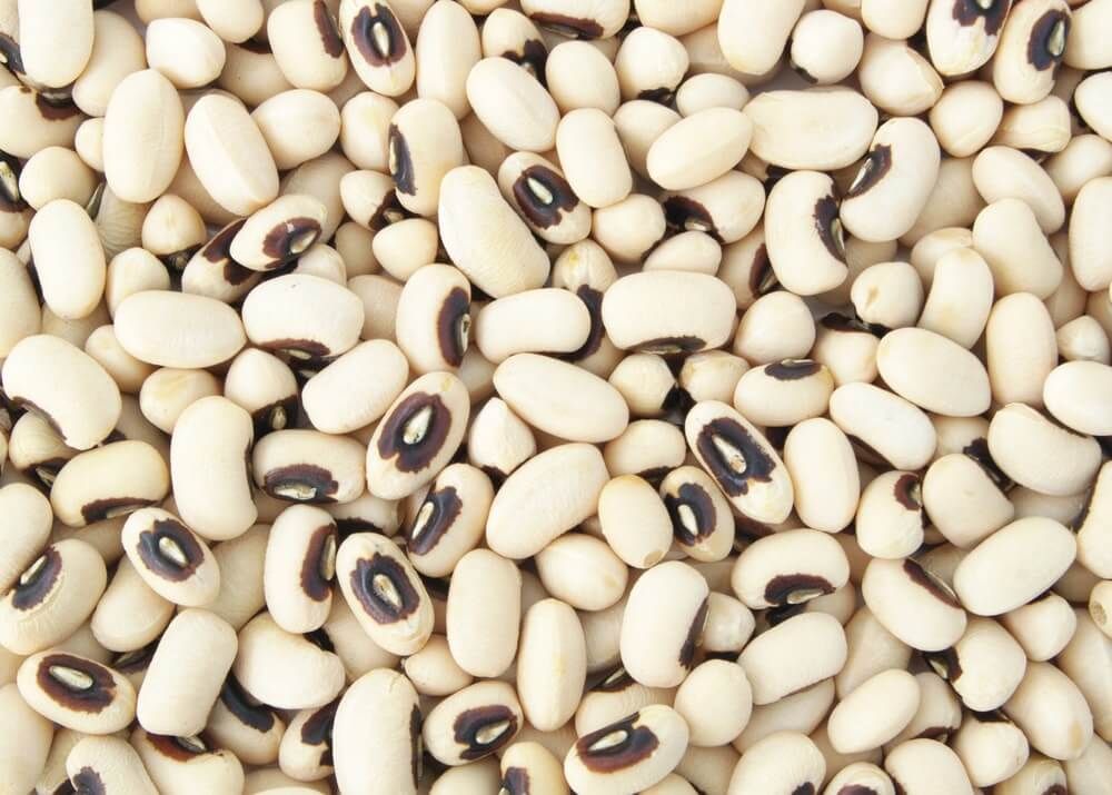 FRIJOLES PICO NEGRO X 500GR