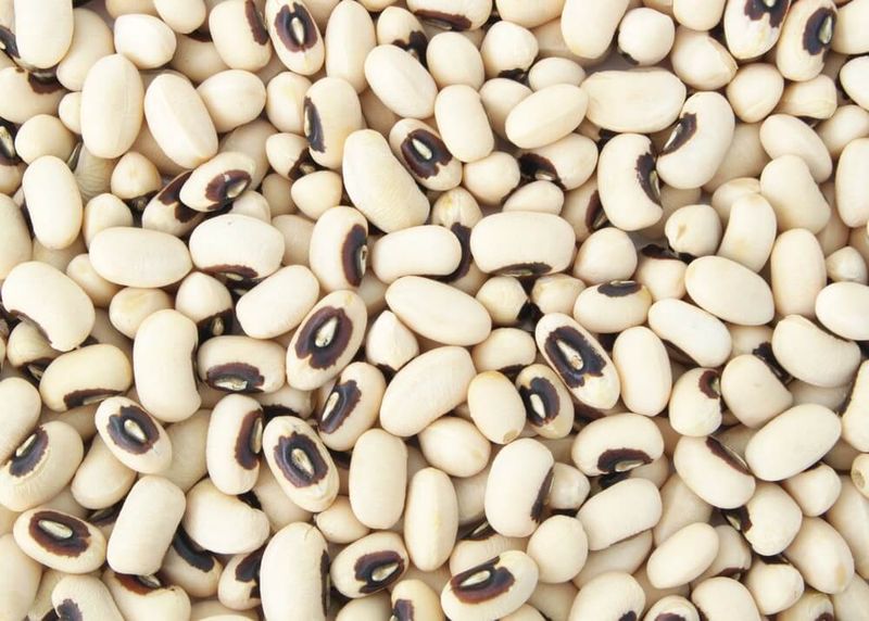FRIJOLES PICO NEGRO X 500GR
