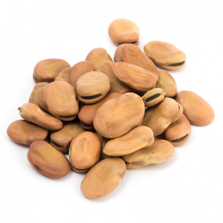 HABAS 500GR