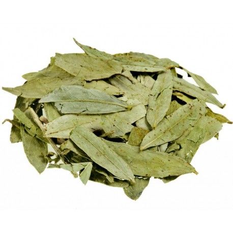 HOJAS DE SEN 50 GR
