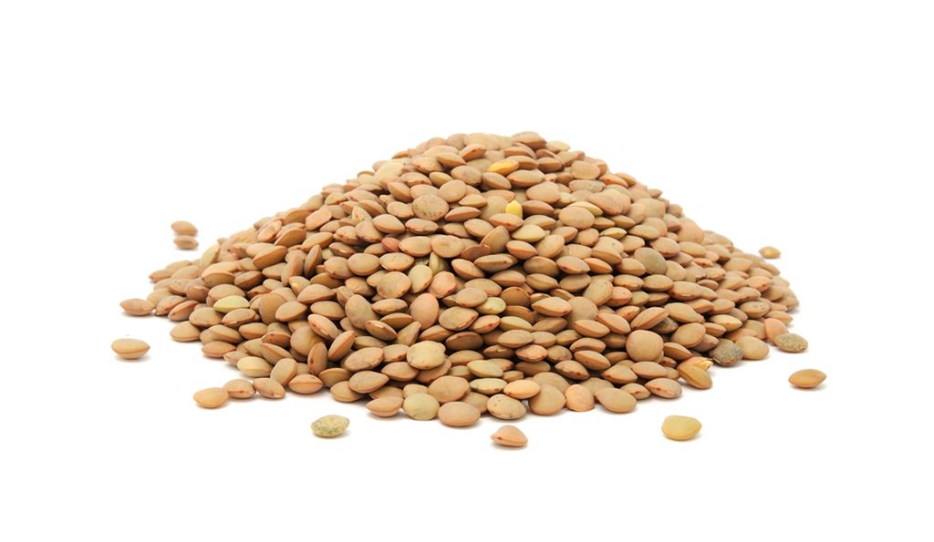 LENTEJAS 500 GR
